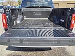 2023 Ford F-150 SuperCrew Cab 4WD Pickup for sale #F6351 - photo 13