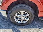 2023 Ford F-150 SuperCrew Cab 4WD Pickup for sale #F6369 - photo 12