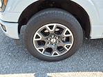 2024 Ford F-150 SuperCrew Cab 4WD Pickup for sale #F6431 - photo 12