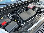 New 2025 GMC Sierra 1500 Pro Double Cab 4WD Pickup for sale #12710 - photo 30