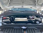New 2025 GMC Sierra 1500 Pro Regular Cab 4WD Pickup for sale #12724 - photo 28