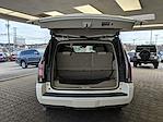 2015 Cadillac Escalade 4x4 SUV for sale #L4N9916A - photo 3