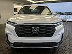 2024 Honda Pilot AWD SUV for sale #L5N9698B - photo 4