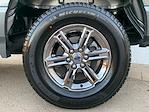 2024 Ford F-150 SuperCrew Cab 4x4 Pickup for sale #S4F047 - photo 238