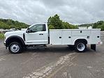 New 2024 Ford F-450 Regular Cab 4x4 Reading Service Truck for sale #S4F1374 - photo 8