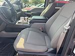 2019 Ford F-150 SuperCrew Cab 4x4 Pickup for sale #S4F4233A - photo 11