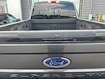 2017 Ford F-350 Crew Cab SRW 4x4 Pickup for sale #S4F5309A - photo 9