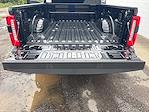 2025 Ford F-350 Crew Cab SRW 4x4 Pickup for sale #S5F0117 - photo 23