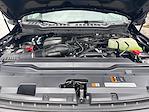 2025 Ford F-350 Crew Cab SRW 4x4 Pickup for sale #S5F0117 - photo 9