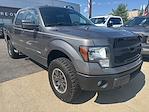 2014 Ford F-150 SuperCrew Cab 4WD Pickup for sale #S5F0412B - photo 4