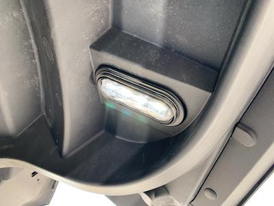 New 2025 Ford F-150 Lightning - photo 1