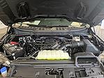 New 2025 Ford F-150 XLT SuperCrew Cab for sale #S5F3395 - photo 38