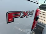2024 Ford F-350 Crew Cab SRW 4x4 Pickup for sale #S5F3495A - photo 4