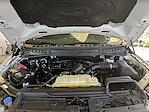 2023 Ford F-150 SuperCrew Cab 4WD Pickup for sale #S5F4797A - photo 31