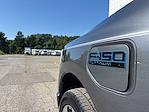 2025 Ford F-150 Lightning SuperCrew Cab AWD Pickup for sale #S5F5151 - photo 25