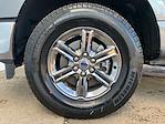 2025 Ford F-150 SuperCrew Cab 4x4 Pickup for sale #S5F6088 - photo 14