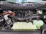 2025 Ford F-150 SuperCrew Cab 4x4 Pickup for sale #S5F6227 - photo 8