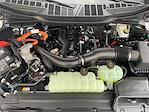 2025 Ford F-150 SuperCrew Cab 4x4 Pickup for sale #S5F7010 - photo 15