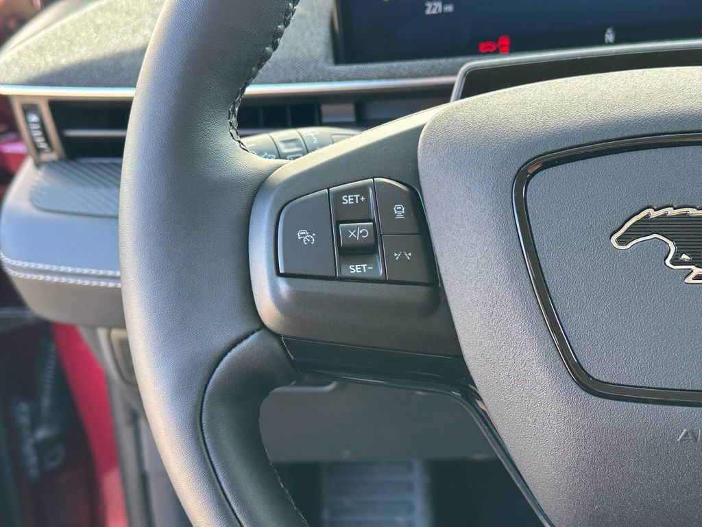New 2025 Ford Mustang Mach-E - photo 11
