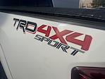 2019 Toyota Tacoma Double Cab 4WD Pickup for sale #S5X4603B - photo 8