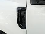 2020 Ford F-250 Crew Cab 4x4 Pickup for sale #S6F1709A - photo 10