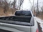 2023 Ford F-150 SuperCrew Cab 4WD Pickup for sale #SP8187 - photo 4
