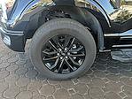 2024 Ford F-150 SuperCrew Cab 4WD Pickup for sale #SR7884 - photo 9