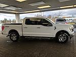 2023 Ford F-150 SuperCrew Cab 4WD Pickup for sale #SR7989 - photo 5