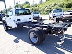 2024 Ford F-550 Regular Cab DRW 4x4, Cab Chassis for sale #W4F6379 - photo 2