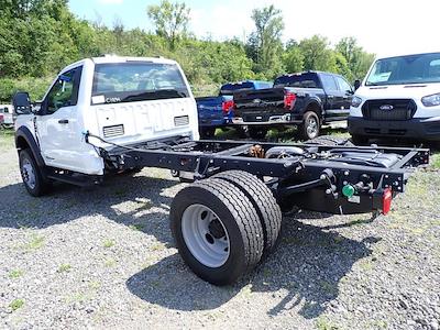 2025 Ford F-600 Regular Cab DRW 4x4 Cab Chassis for sale #W5F0923 - photo 2