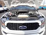 2023 Ford F-150 SuperCrew Cab 4WD Pickup for sale #W5F1201A - photo 15