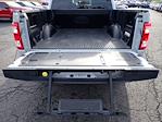 2023 Ford F-150 SuperCrew Cab 4WD Pickup for sale #W5F1201A - photo 8