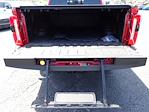 2023 Ford F-350 Crew Cab SRW 4x4 Pickup for sale #W5F1865A - photo 6