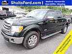 2014 Ford F-150 SuperCrew Cab 4x4 Pickup for sale #W4F6656A - photo 1