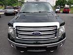 2014 Ford F-150 SuperCrew Cab 4x4 Pickup for sale #W4F6656A - photo 8