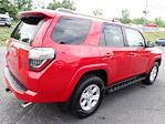 2019 Toyota 4Runner 4x4 SUV for sale #WP1774 - photo 9