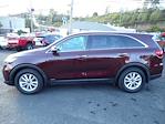 2019 Kia Sorento AWD SUV for sale #WP1839 - photo 3