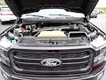 2024 Ford F-150 SuperCrew Cab 4x4 Pickup for sale #WR1705 - photo 16