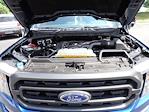 2023 Ford F-150 SuperCrew Cab 4x4 Pickup for sale #WR1795 - photo 16