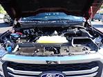 2024 Ford F-150 SuperCrew Cab 4x4 Pickup for sale #WR1865 - photo 16