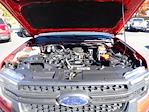 2024 Ford Ranger SuperCrew Cab 4WD Pickup for sale #WR1930 - photo 15