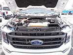 2023 Ford F-150 SuperCrew Cab 4WD Pickup for sale #WR1962 - photo 16