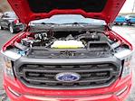 2022 Ford F-150 SuperCrew Cab 4WD Pickup for sale #WR1963 - photo 16