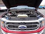 2022 Ford F-150 SuperCrew Cab 4WD Pickup for sale #WR1978 - photo 16