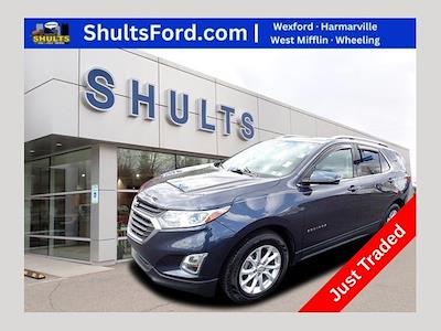 Used 2019 Chevrolet Equinox - photo 1