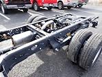 2024 Ford F-350 Regular Cab DRW 4x2, Cab Chassis for sale #H4F6677 - photo 6