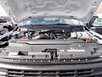 2024 Ford F-250 Regular Cab 4x4 Pickup for sale #H4F9237 - photo 12
