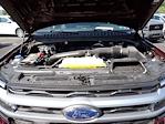 2024 Ford Expedition 4x4 SUV for sale #H4P9698A - photo 15
