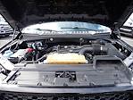 2020 Ford F-150 SuperCrew Cab 4WD Pickup for sale #H5F0332A - photo 15