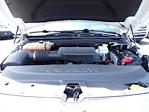 2019 Ram 1500 Crew Cab 4x4 Pickup for sale #H5F2692A - photo 15